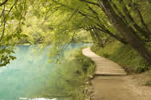 Anxiety therapy CBT palo alto