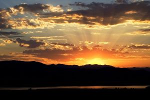 Cognitive Behavioral Therapy Palo Alto for Anxiety & OCD